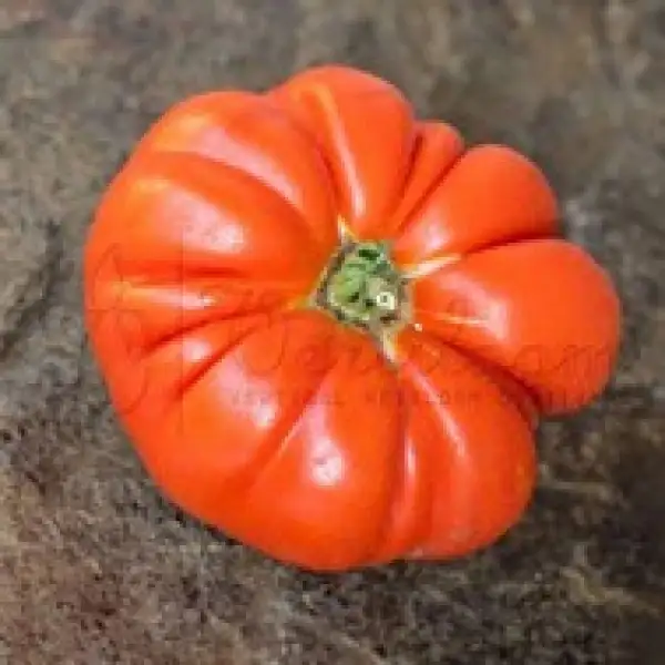 Tomaten: Corum Kirmizisi