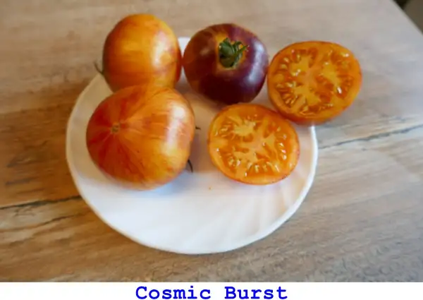 Tomaten: Cosmic Burst