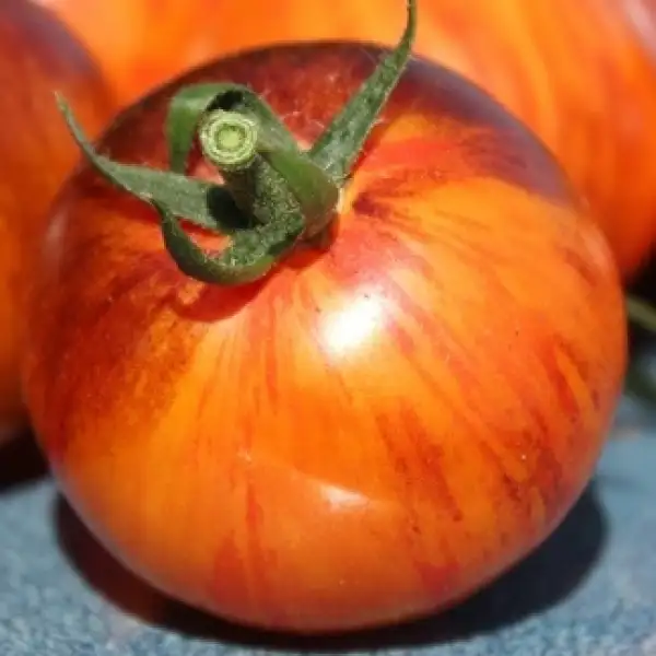 Tomaten: Cosmic Burst