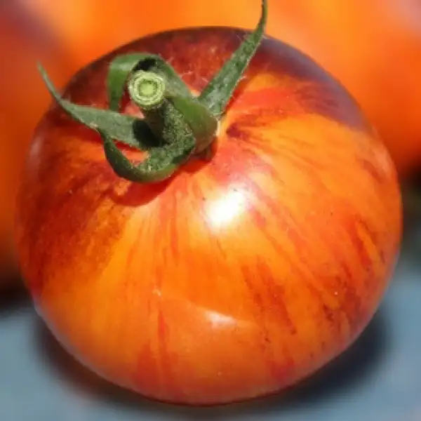 Tomaten: Cosmic Burst