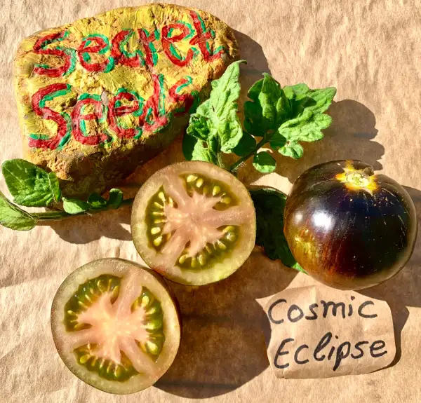 Tomaten: Cosmic Eclipse