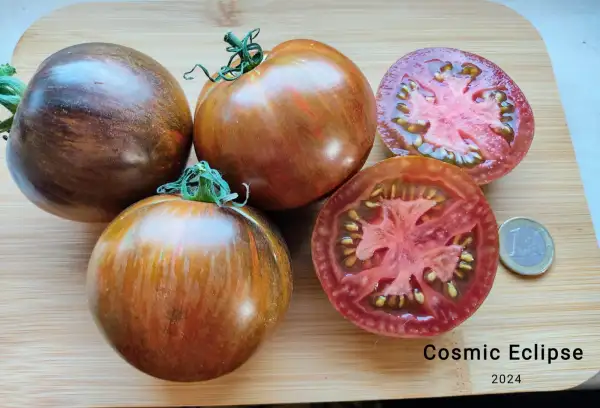 Tomaten: Cosmic Eclipse