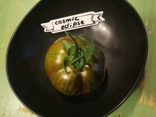 Tomaten: Cosmic Eclipse