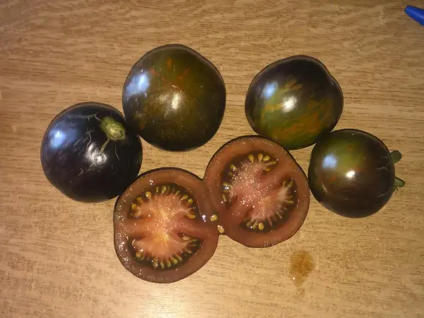 Tomaten: Cosmic Eclipse