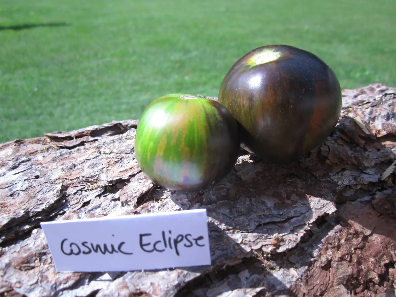 Tomaten: Cosmic Eclipse