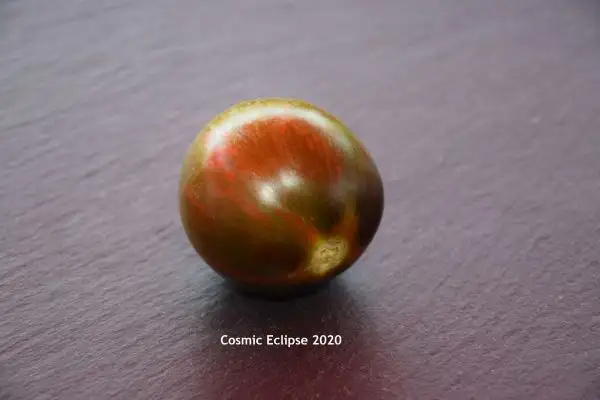 Tomaten: Cosmic Eclipse