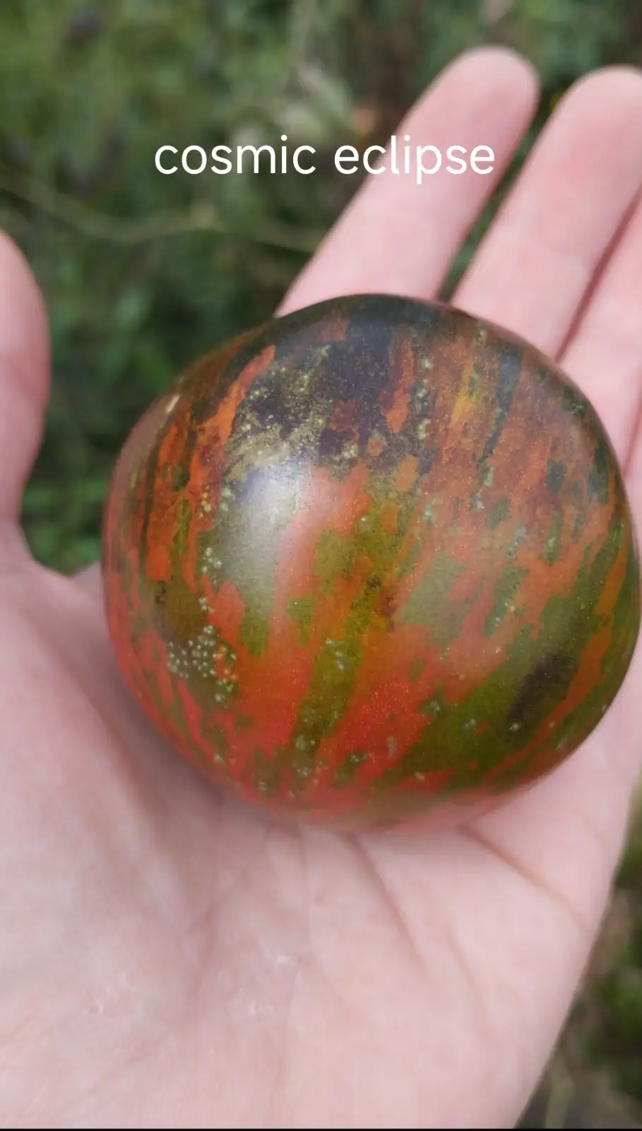 Tomaten: Cosmic Eclipse