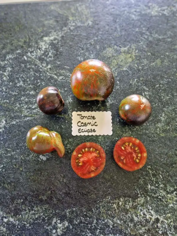 Tomaten: Cosmic Eclipse