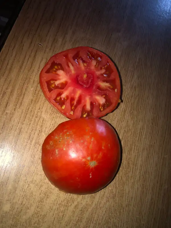 Tomaten: Cosmonaut Volkov