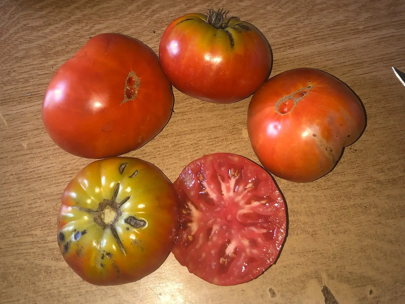 Tomaten: Costoluto di Castellamonte