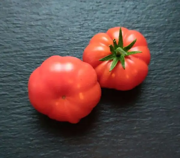 Tomaten: Costoluto di Parma