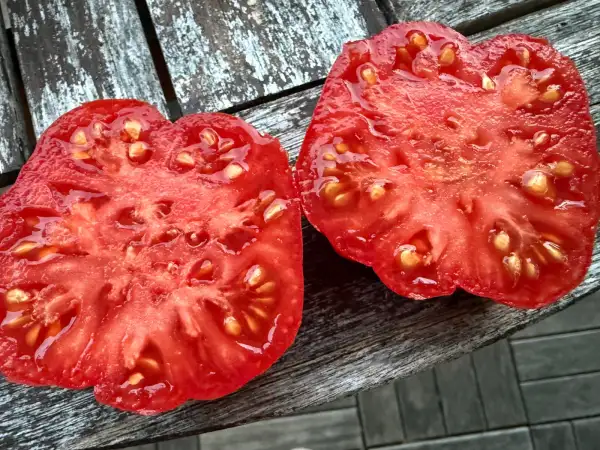 Tomaten: Costoluto di Parma
