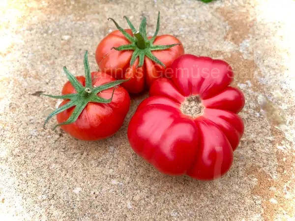 Tomaten: Costoluto di Parma