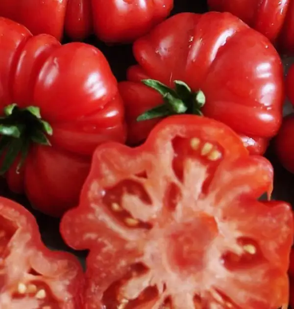 Tomaten: Costoluto Fiorentino
