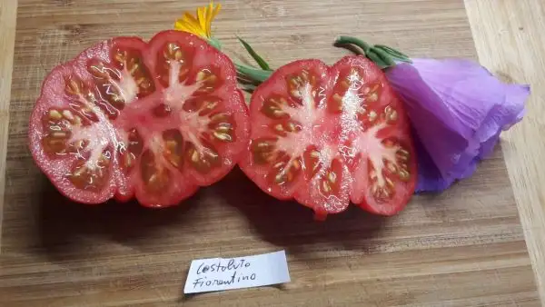 Tomaten: Costoluto Fiorentino