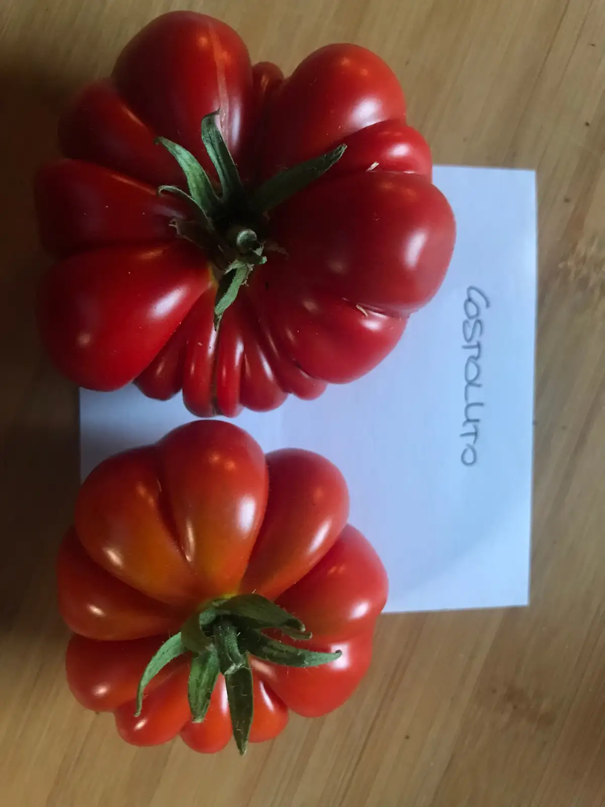 Tomaten: Costoluto Fiorentino