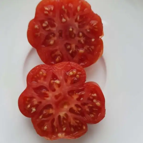 Tomaten: Costoluto Fiorentino