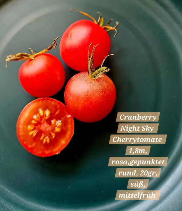 Tomaten: Cranberry Night Sky