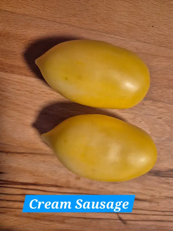 Tomaten: Creme Sausage