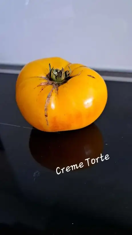 Tomaten: Creme Torte