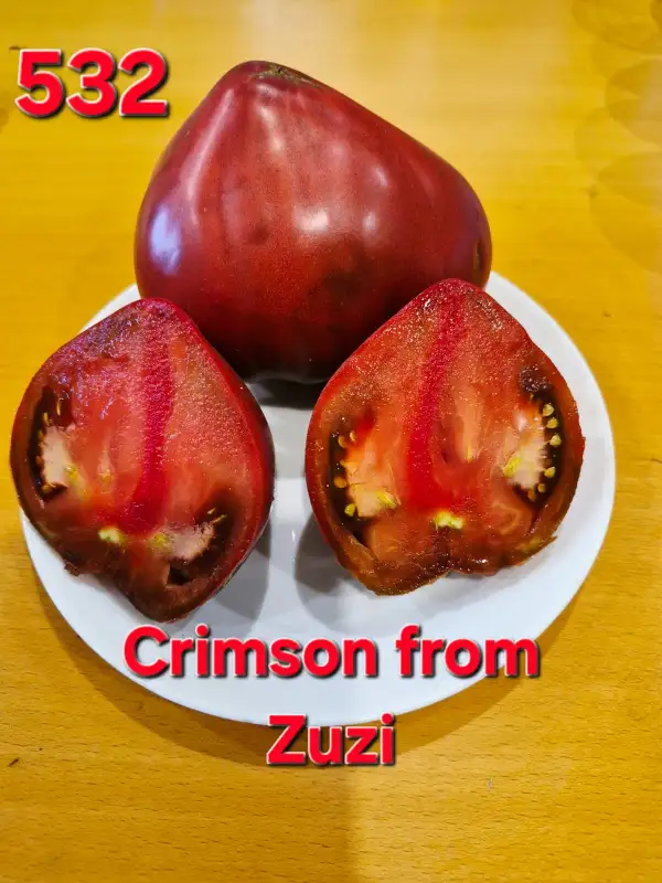 Tomaten: Crimson from Zuzi