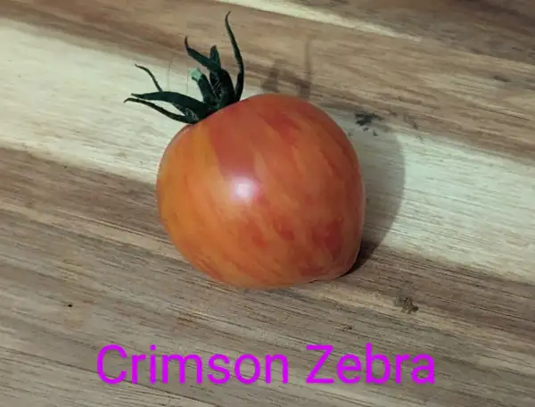 Tomaten: Crimson Zebra