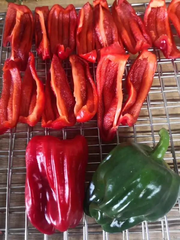 Chili / Paprika: Criolla de Cocina
