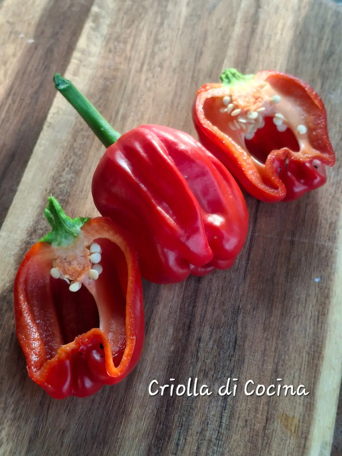 Chili / Paprika: Criolla de Cocina