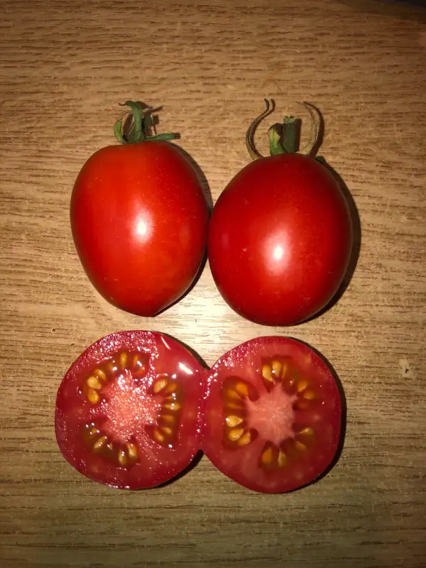 Tomaten: Crovarese