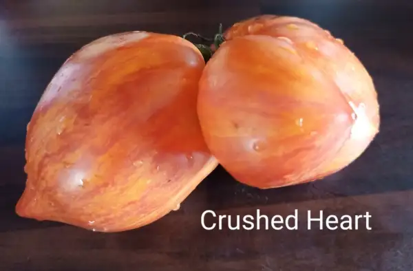 Tomaten: Crushed Heart,