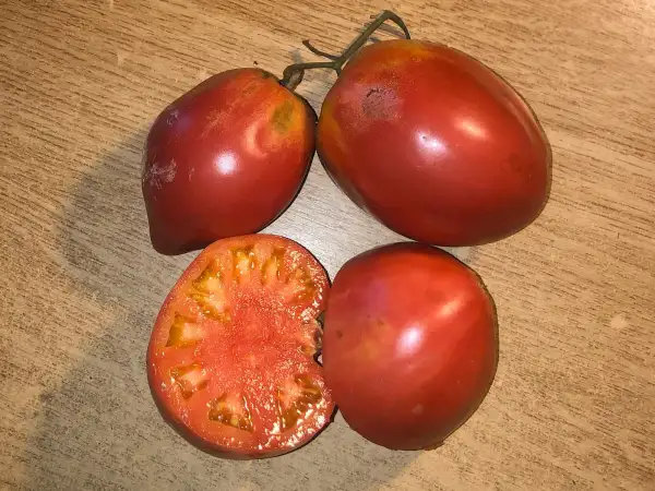 Tomaten: Crveni Srcolik
