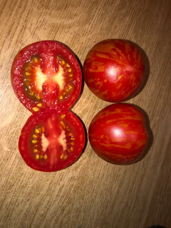 Tomaten: Csikos Botermo