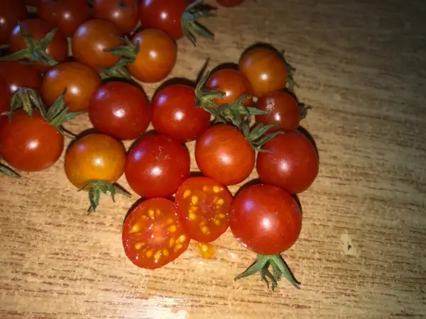 Tomaten: Cuatomate