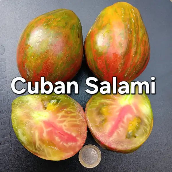 Tomaten: Cuban Salami