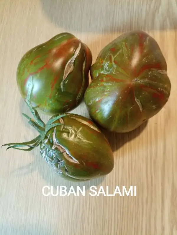 Tomaten: Cuban Salami