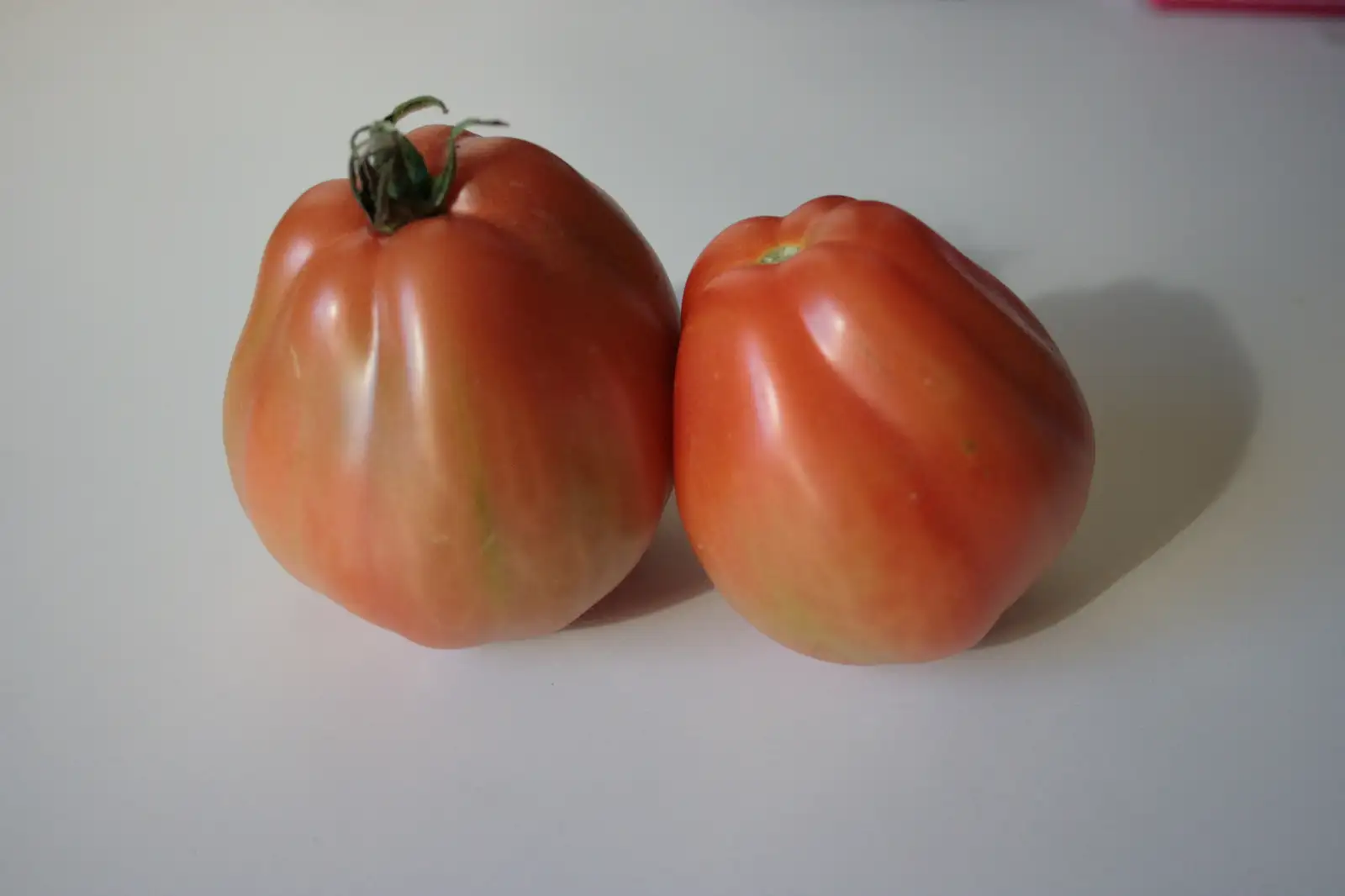 Tomaten: Cuor di Albenga
