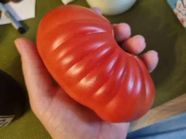 Tomaten: Cuor die Bue