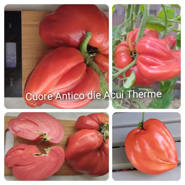 Tomaten: Cuore Antico di Acqui Terme