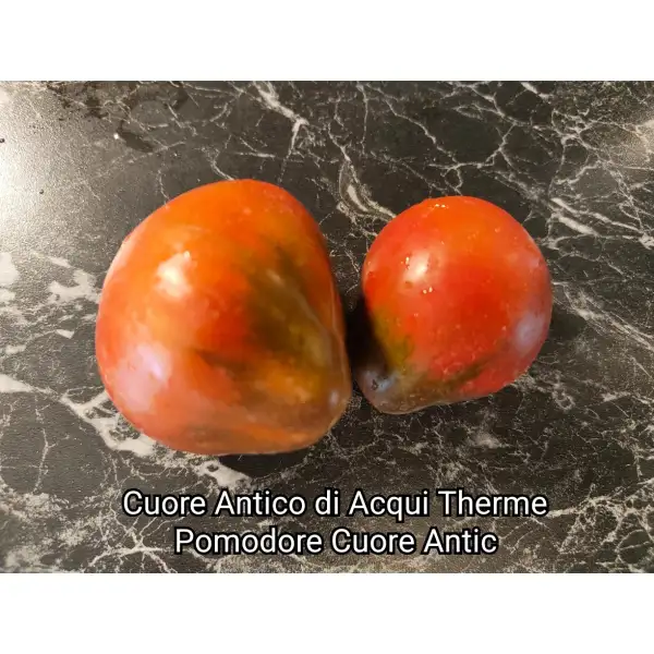 Tomaten: Cuore Antico di Acqui Therme