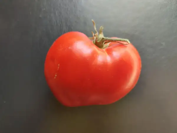 Tomaten: Cuore Antico di Aqui Terme