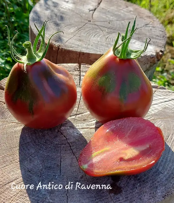 Tomaten: Cuore Antico di Ravenna