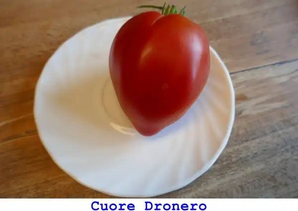 Tomaten: Cuore Dronero