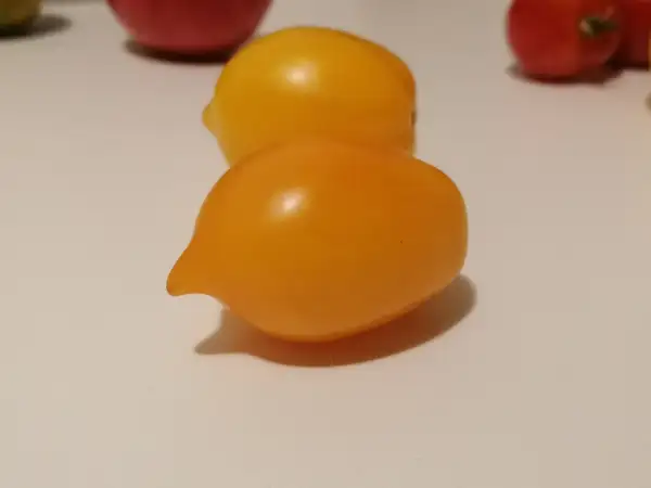 Tomaten: Cytrina