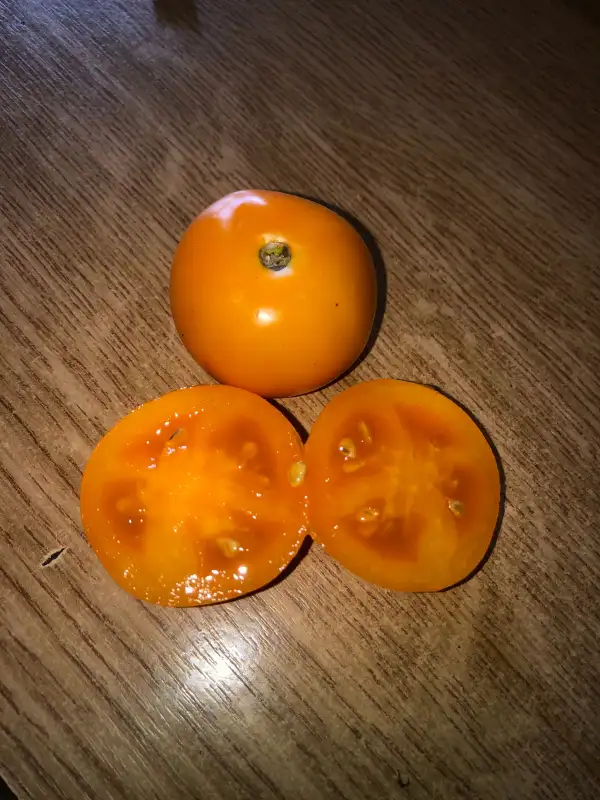 Tomaten: Délice d