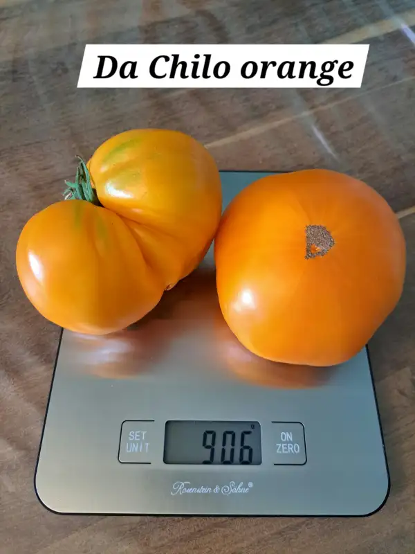 Tomaten: Da Chilo orange