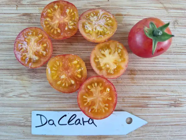 Tomaten: Da Clara - Minifleischtomate