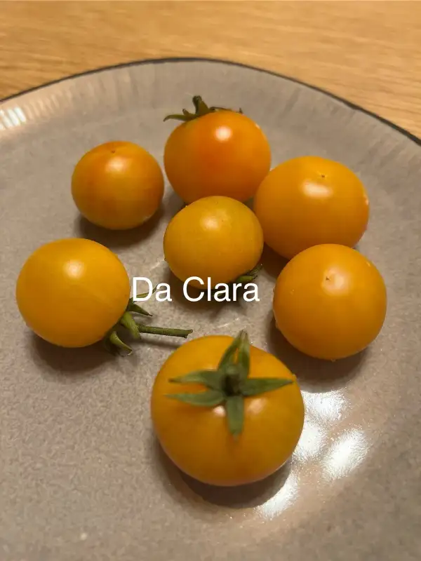 Tomaten: Da Clara