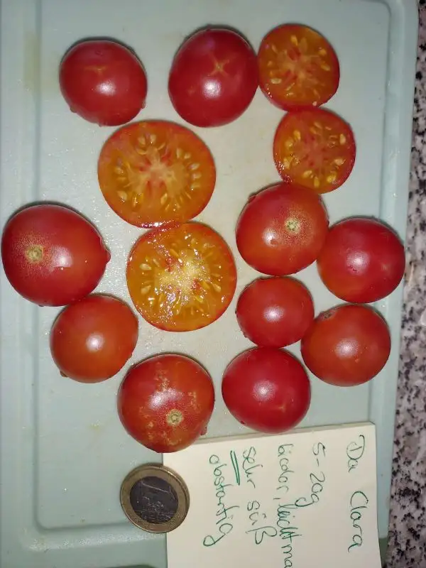 Tomaten: Da Clara