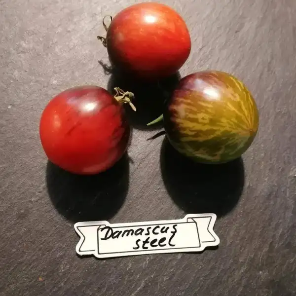 Tomaten: Damascus Steel