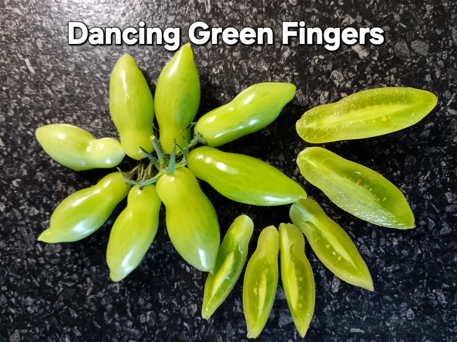 Tomaten: Dancing Green Fingers